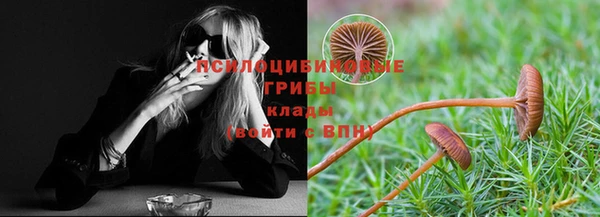 Альфа ПВП Кодинск