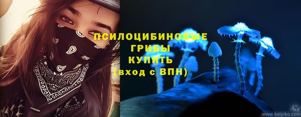 Альфа ПВП Кодинск