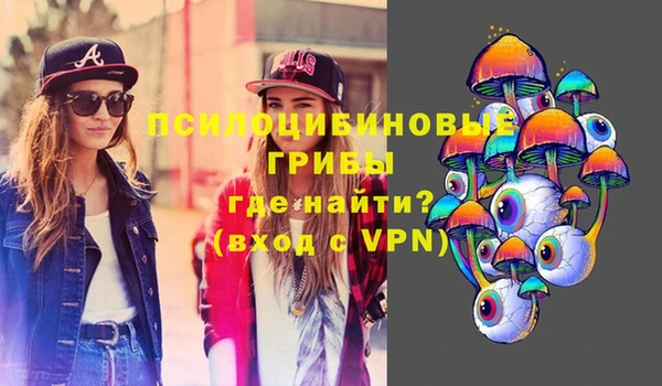 СК Козловка