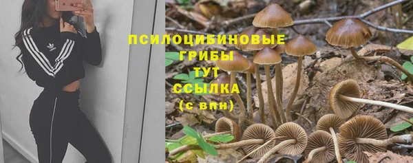 Альфа ПВП Кодинск